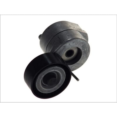 Schaeffler Ina Riemspanner, Poly V-riem INA 534 0053 10