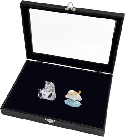 Broche Houder - Sieraden Vitrine - Verzamelingen Tonen - Transparant Design - 20 x 15 cm - Transparant
