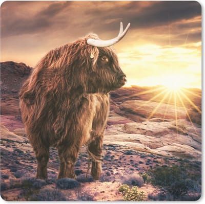 Muismat 20x20 cm - Mousepad Koe - Schotse hooglander - Stenen - Muismatten