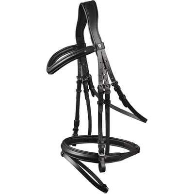 Engels gecombineerd hoofdstel met anatomische neusriem Waldhausen X-Line London