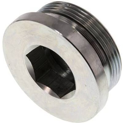 Plug M48 X 2 Staal NBR met binnenzeskant 250 bar (3512.5psi)