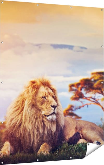 Gards Tuinposter Leeuw tijdens Zonsondergang - 120x160 cm - Tuindoek - Tuindecoratie - Wanddecoratie buiten - Tuinschilderij
