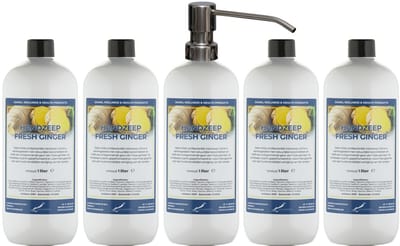 Handzeep Fresh Ginger 1 liter - set van 5 stuks - met gratis RVS zilverkleurige pomp - Voordeelverpakking