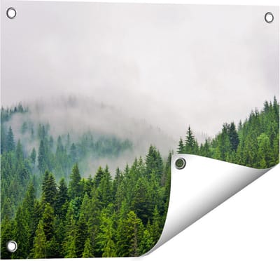 Gards Tuinposter Groen Bos met Bomen tijdens de Mist - 50x40 cm - Tuindoek - Tuindecoratie - Wanddecoratie buiten - Tuinschilderij