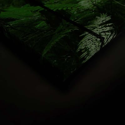 Canvas DD124918 Rainforest2 A. S. Création