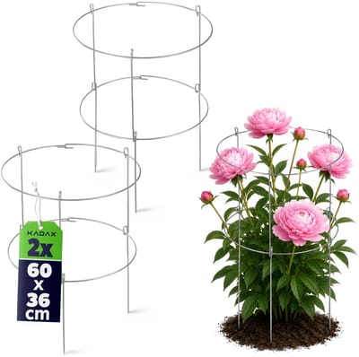 KADAX 2 x tuinsteunen van gepoedercoat staal, plantenhouder, bloemensteun, plantensteun, klimhulp voor planten, tuin, balkon, plantenhouder (set x 2: hoogte: 60,5 cm)