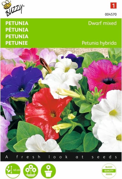 2 stuks - Buzzy - Petunia Hybrida Nana Compacta Gemengd