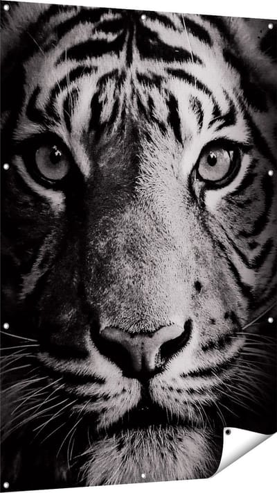 Gards Tuinposter Tijgerkop - Tijger - Zwart Wit - 100x150 cm - Tuindoek - Tuindecoratie - Wanddecoratie buiten - Tuinschilderij