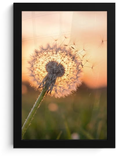 Poster in lijst - Fotolijst 20x30 cm - Posters - Paardenbloem - Zonsondergang - Veld - Posterlijst zwart - Decoratie - Wanddecoratie woonkamer - Muurdecoratie slaapkamer