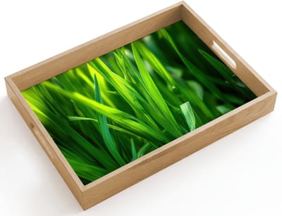 Dienblad hout 40x30 cm - Schootdienblad - Grassprieten - Lichtinval - Groen - Borrelplank rechthoek - Plateau dienbladen