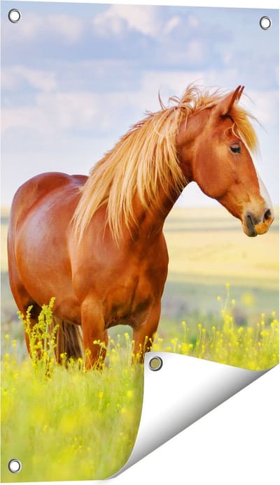 Gards Tuinposter Bruin Paard in de Wei - 40x60 cm - Tuindoek - Tuindecoratie - Wanddecoratie buiten - Tuinschilderij