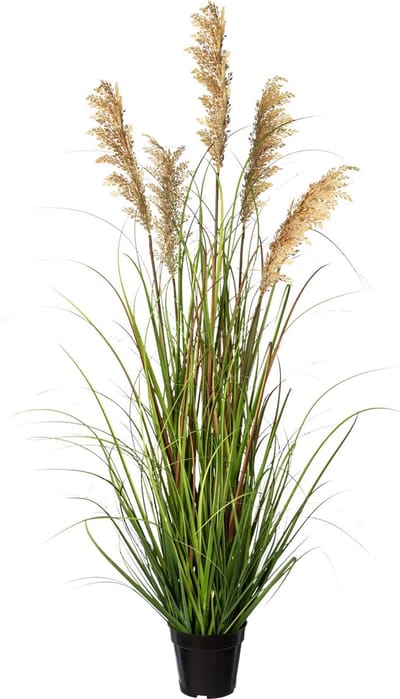 Kopu® Kunstplant Pluimgierst 122 cm - 5 halmen - in zwarte pot