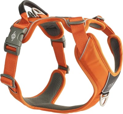 Honden Tuigje - Honden Harnas - Dagelijkse Wandelingen - Ergonomisch Ontwerp - Borstomvang 54-68 cm - Oranje