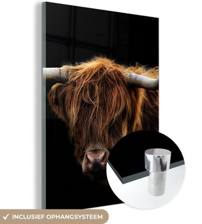 Glasschilderij Schotse Hooglander - Horens - Zwart - Dieren - Koe - Woonkamer - 120x160 cm - Foto op glas - Wanddecoratie glas - Kamer decoratie - Glasplaat - Muurdecoratie
