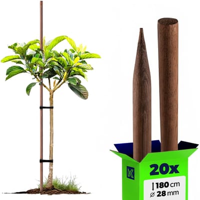 KADAX Klimhulp van hout, geïmpregneerde plantenstokken, klimplantenstaaf, weerbestendige klimstang, bloemenstaaf, rankrooster, houten palen, 20, 28 x 180 cm