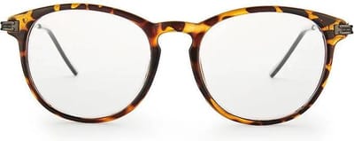Nordic Vision leesbril Nassjo +1.00