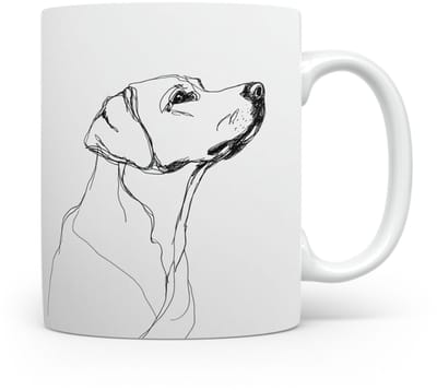 Beker Labrador Retriever