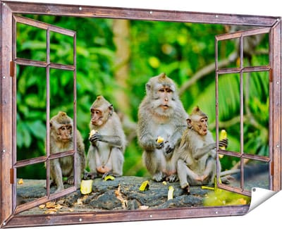 Gards Tuinposter Doorkijk Groep Apen Eten Bananen in het Bos - 180x120 cm - Tuindoek - Tuindecoratie - Wanddecoratie buiten - Tuinschilderij