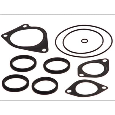 Pakkingset, waterpomp DT Spare Parts 2.91534