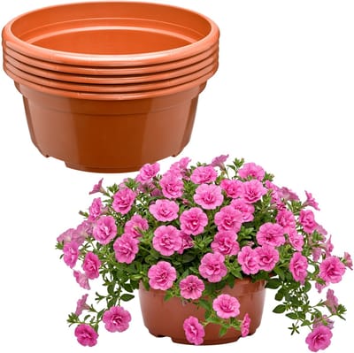 Garronda Set van 5 ronde kunststof plantenbakken with drainage (Terracotta, Ø23 x 11 cm – 3,5 L) GD-KW-B-Terracotta