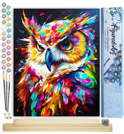 Figured'Art Schilderen op Nummer Volwassenen canvas Kleurrijke Abstracte Uil- Handwerk acrylverf Kit DIY Compleet - 40x50cm met DIY houten lijst