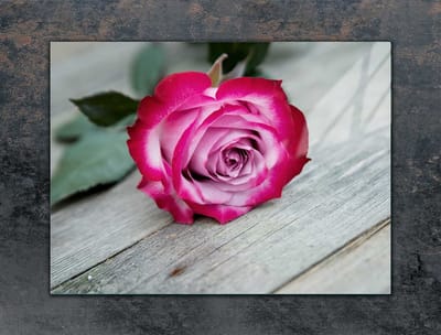 TMK ArtDeko - Serie - Snijplank - 70x52 cm - Gehard Glas - Roze