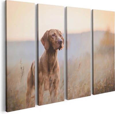 Artaza Canvas Schilderij Vierluik Hongaarse Vizsla Hond In Het Gras - 80x60 - Foto Op Canvas - Canvas Print