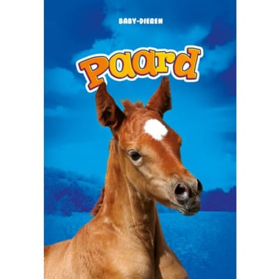 Paard - Baby-Dieren - Bethany Olson
