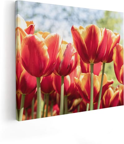 Artaza Canvas Schilderij Tulpen - 100x80 cm - Groot - Wanddecoratie Bloemen - Muurdecoratie Lente - Schilderijen Op Canvas