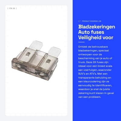 Dailygoods - Bladzekeringen - Auto fuses - Veiligheid voor voertuigen - Grijs - Vervangingszekeringen - Voor auto en truck - 25 stuks