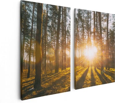 Artaza Canvas Schilderij Tweeluik Zonsopkomst In Het Bos Tussen De Bomen - 80x60 - Foto Op Canvas - Canvas Print