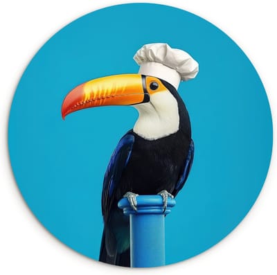 WallCircle® Wandcirkel 30x30 cm - Muurcirkel Tucan - Sokkel - Vogel - Koksmuts - Muurdecoratie woonkamer - Wanddecoratie keuken - Kamer decoratie accessoires - Ronde schilderijen