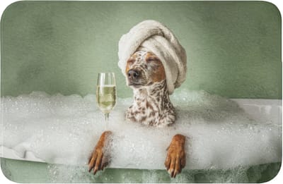 WC mat 60x40 cm - Antislip - Hond - Bad - Champagne - Handdoek - Toiletmat - Vloermat - Douchemat - Toilet tapijt - Toiletmatten