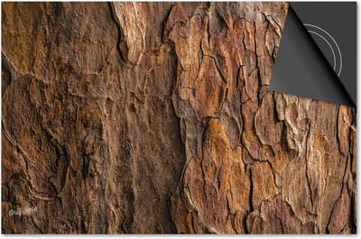 Inductie beschermer 60x60 - afdekplaat inductie mat - Dietrix Kookplaat beschermer - Exclusief - Hout en Boom - Schors Bruin