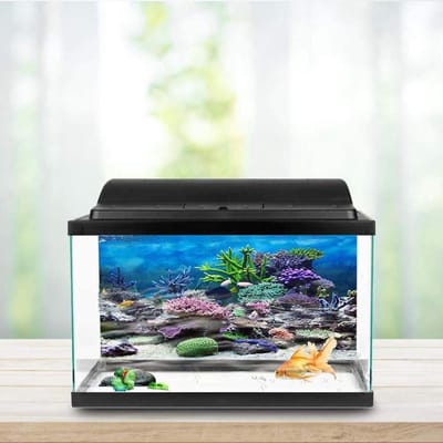 SnelShoppen - Aquariumdecoratie PVC Zelfklevend Patroon Koraal Onderwater Vorm 76 x 30 cm Waterdicht voor Visbakken en Aquaria