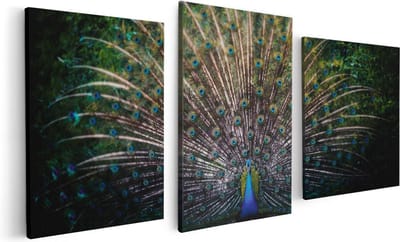 Artaza Canvas Schilderij Drieluik Pauw Met Kleurrijke Veren - Kleur - 120x60 - Foto Op Canvas - Canvas Print