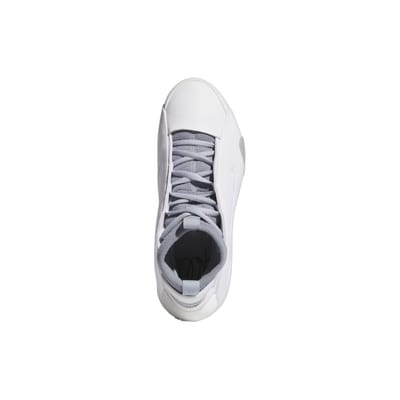 Basketbalschoenen adidas Baskets harden volume 8 léger
