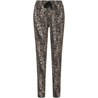 HV Society Broek hvslima