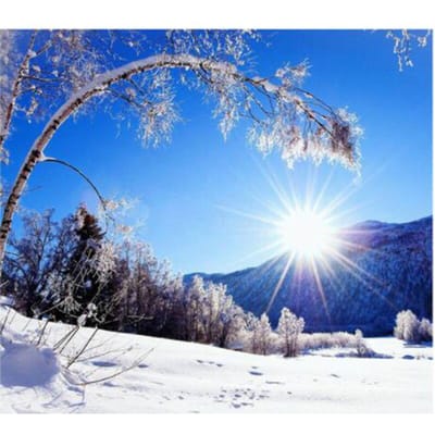 Peinture diamant 5d à faire soi-même, Kits de points de croix, broderie diamant, paysage d'arbre de neige d'hiver 20X30CM white