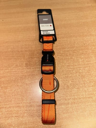 WOLTERS Cat & Dog Sunset Hondenhalsband / Halsband Maat L Nekomtrek: 32 - 50 cm Oranje