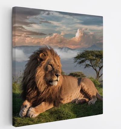 Saammp Canvas Schilderij - Leeuw bovenop een berg - Landschap - Dieren - Natuur - 20x20 - Foto op canvas - Wanddecoratie - Muurdecoratie Woonkamer - Slaapkamer decoratie - Canvas Print