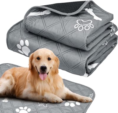 Set van 2 Wasbare Puppy Training Pads - Waterdichte en Sneldrogende Matten voor Thuis, Auto en Reizen, 60 x 45 cm en 120 x 60 cm, Ideaal voor Zindelijkheidstraining en Hondenverzorging