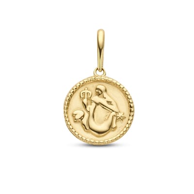 New Bling 9NBG-0276 Gouden Sterrenbeeld - Waterman - 10mm Doorsnee - 14 Karaat - Goud