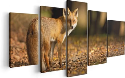 Artaza Canvas Schilderij Vijfluik Vos in het Herfstbos - 100x50 - Foto Op Canvas - Canvas Print