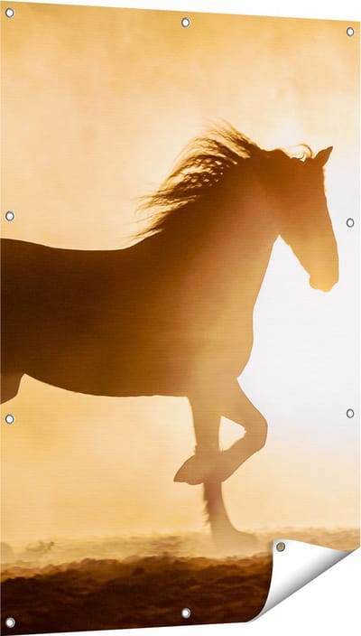 Gards Tuinposter Silhouet van een Paard - 80x120 cm - Tuindoek - Tuindecoratie - Wanddecoratie buiten - Tuinschilderij