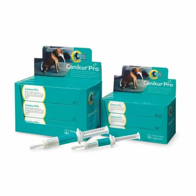 Boehringer Canikur Pro - Display 12 Spuiten Met 30ml