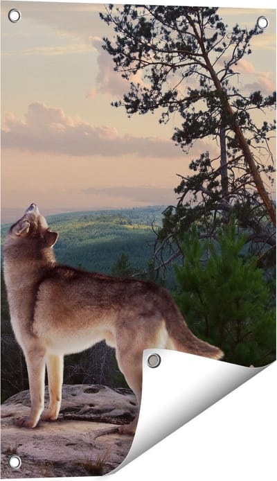 Gards Tuinposter Drie Wolven op een Rots in het Bos - 40x60 cm - Tuindoek - Tuindecoratie - Wanddecoratie buiten - Tuinschilderij