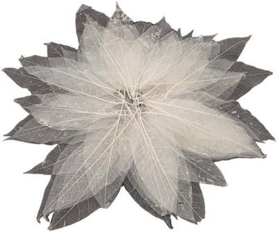 Lobbes magnolia bladskeletten creatief knutselen 50 stuks.