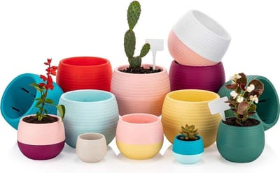 7st bloempotten + drainage 0.55L voor cactus vetplantjes en kleine planten