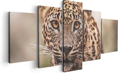 Artaza Canvas Schilderij Vijfluik Luipaard Van Dichtbij Met Grote Ogen - 100x50 - Foto Op Canvas - Canvas Print